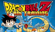 Dragon Ball Z: Team Training