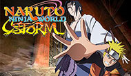 Ninja World Storm 2