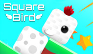 Square Bird